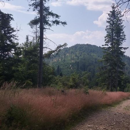 Bed and Breakfast Pod Klimczokiem I Щирк Экстерьер фото