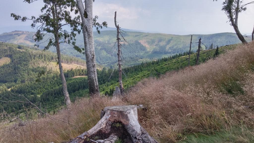 Bed and Breakfast Pod Klimczokiem I Щирк Экстерьер фото