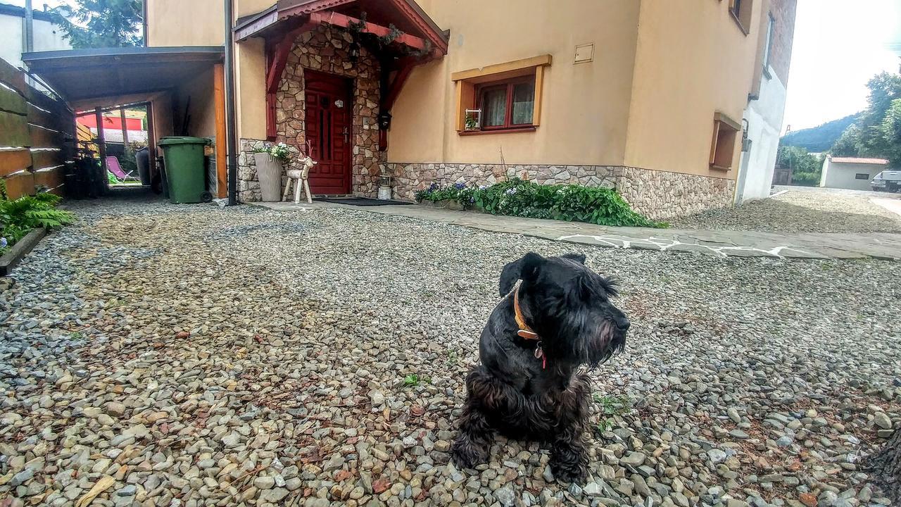 Bed and Breakfast Pod Klimczokiem I Щирк Экстерьер фото
